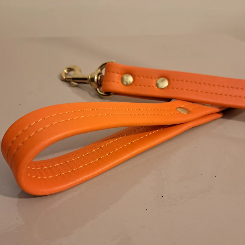 Laisse en cuir doublé