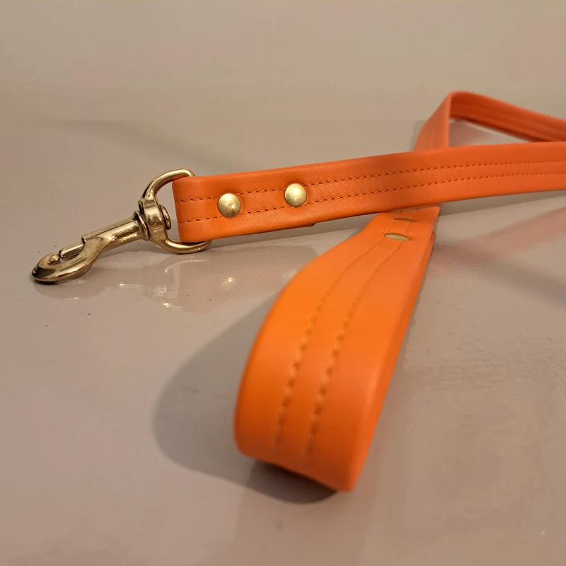 Laisse en cuir doublé