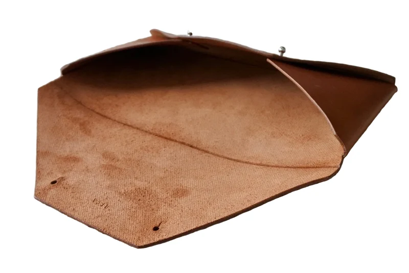 Pochette Phoenix