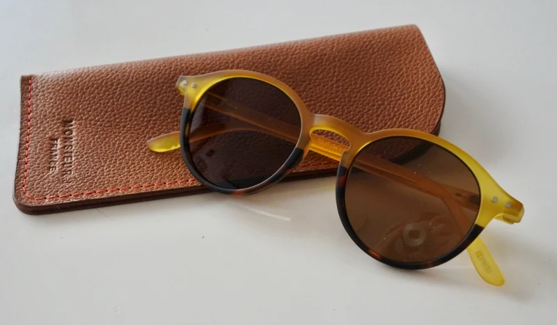 Étui à lunettes