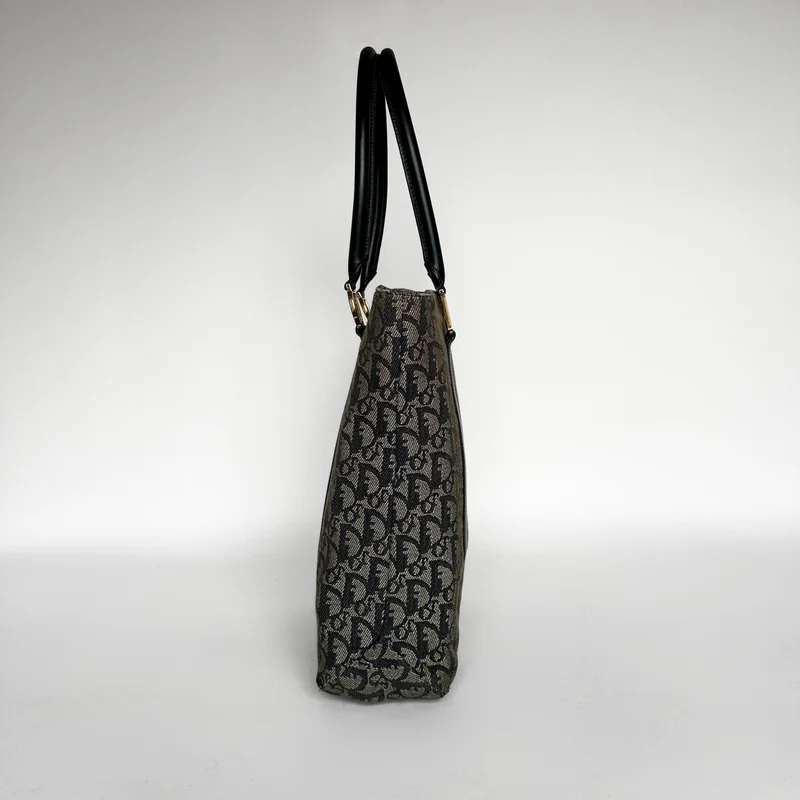 Dior Shopper Toile oblique