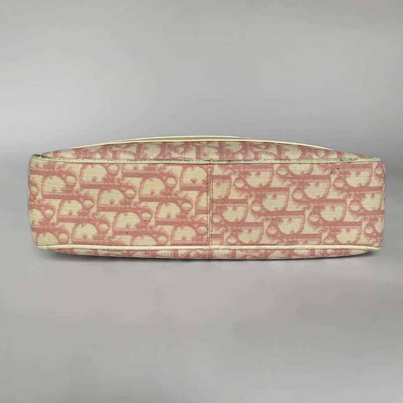 Dior Toile Messenger Oblique