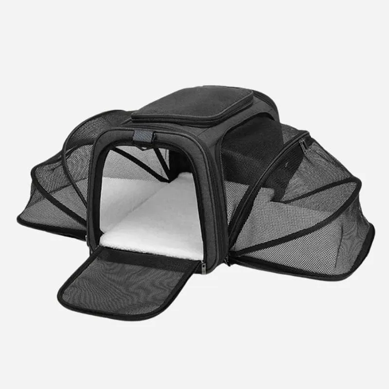 Sac de voyage pour chat en avion