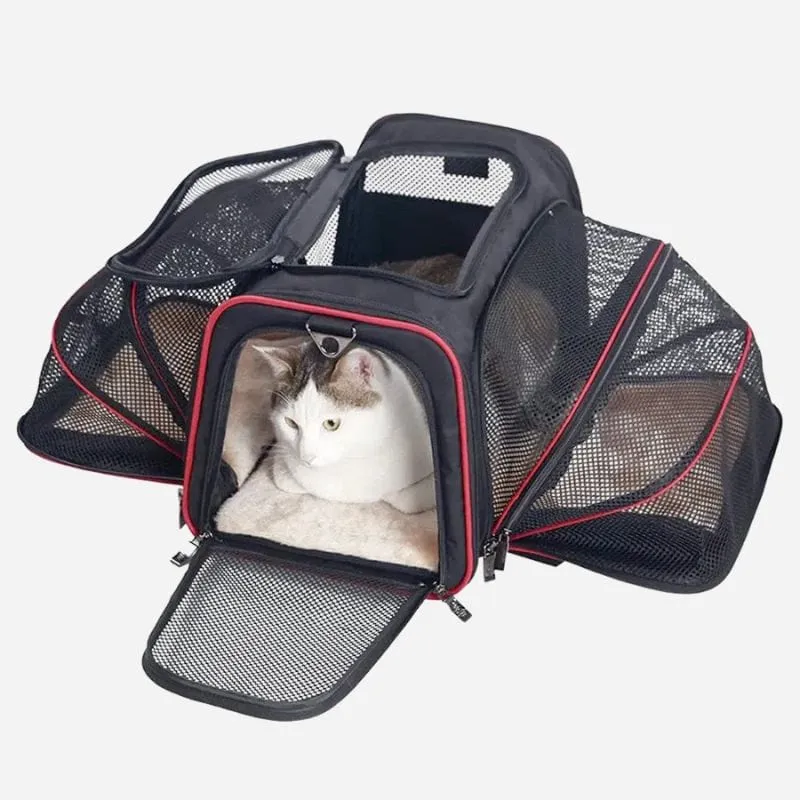 Sac de voyage pour chat en avion