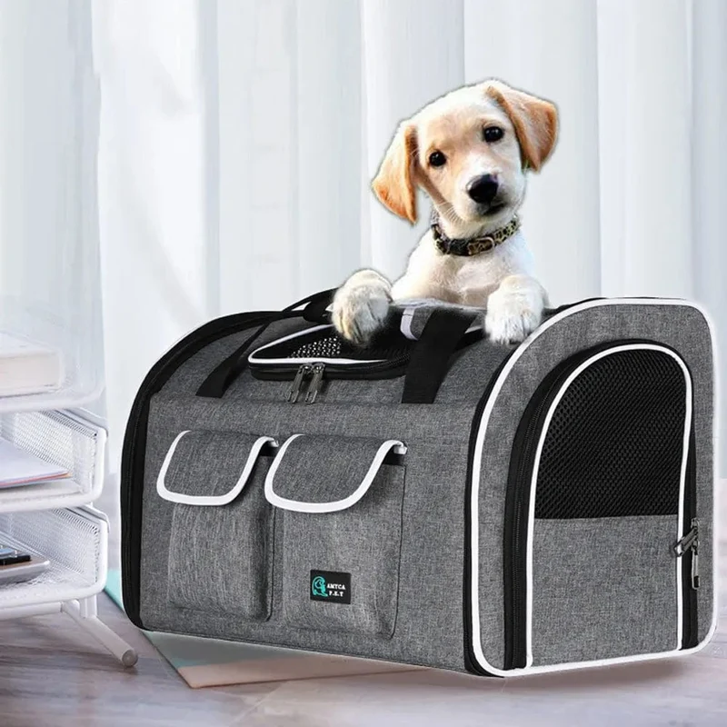 Sac de voyage chien avion