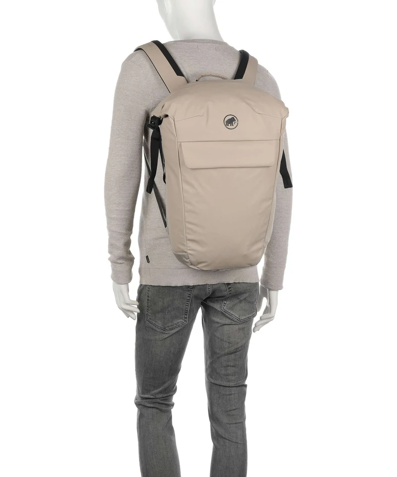 Mammut Seon Courier 20 Sac à dos strata