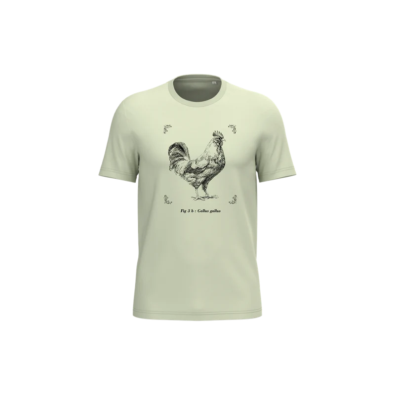 T-shirt écoresponsable - Gallus gallus