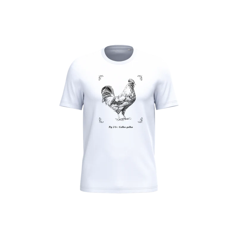 T-shirt écoresponsable - Gallus gallus