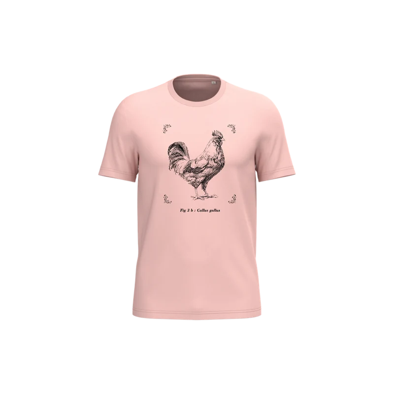T-shirt écoresponsable - Gallus gallus