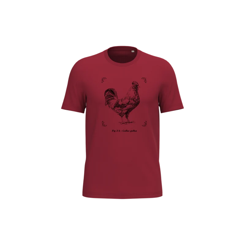T-shirt écoresponsable - Gallus gallus