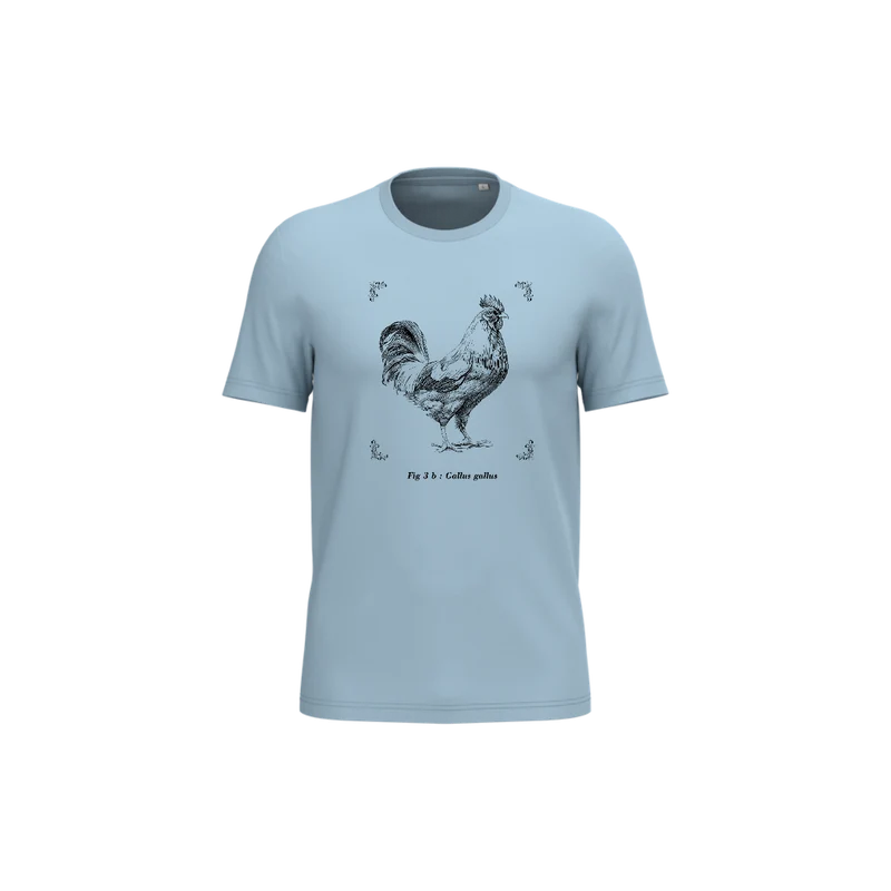 T-shirt écoresponsable - Gallus gallus