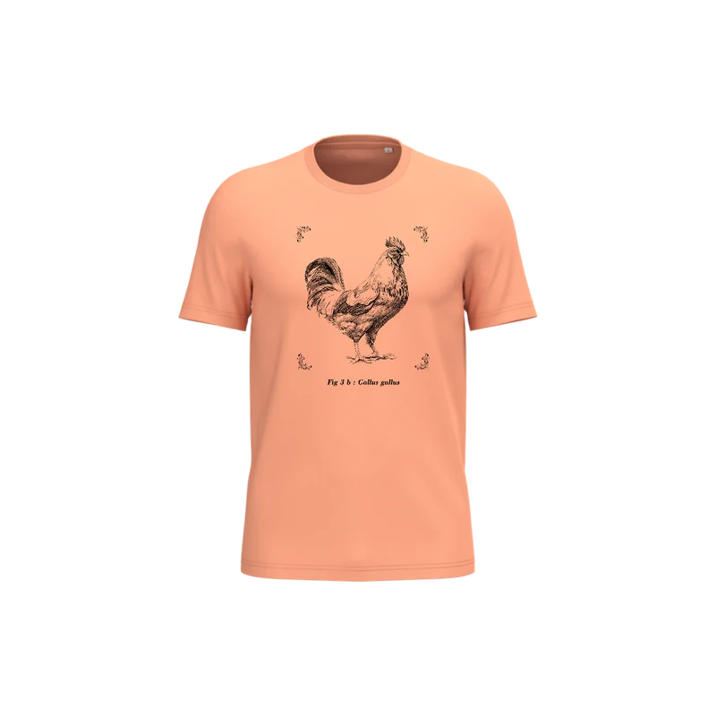 T-shirt écoresponsable - Gallus gallus