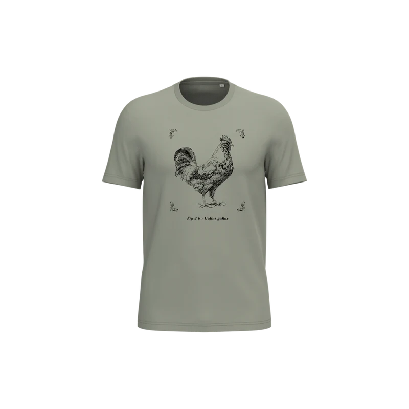T-shirt écoresponsable - Gallus gallus