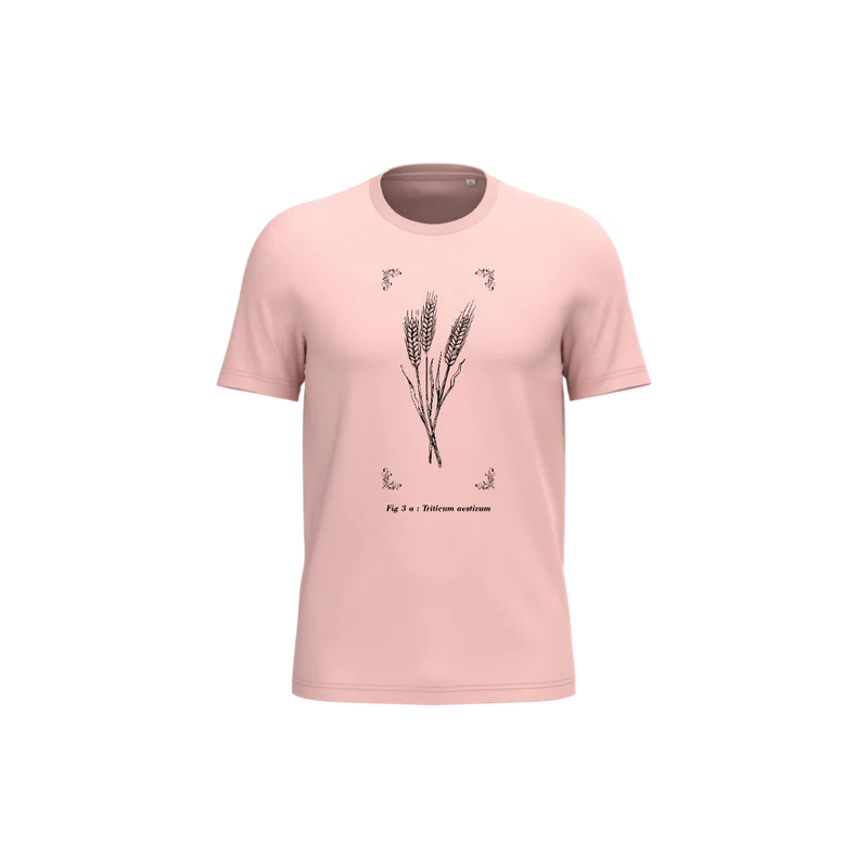 T-shirt écoresponsable - Triticum aestivum