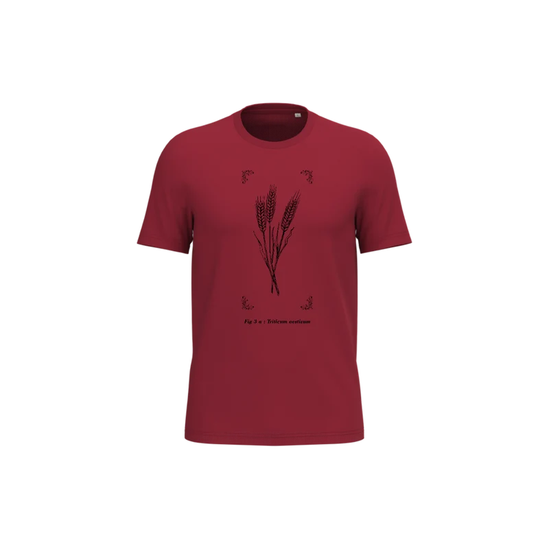 T-shirt écoresponsable - Triticum aestivum