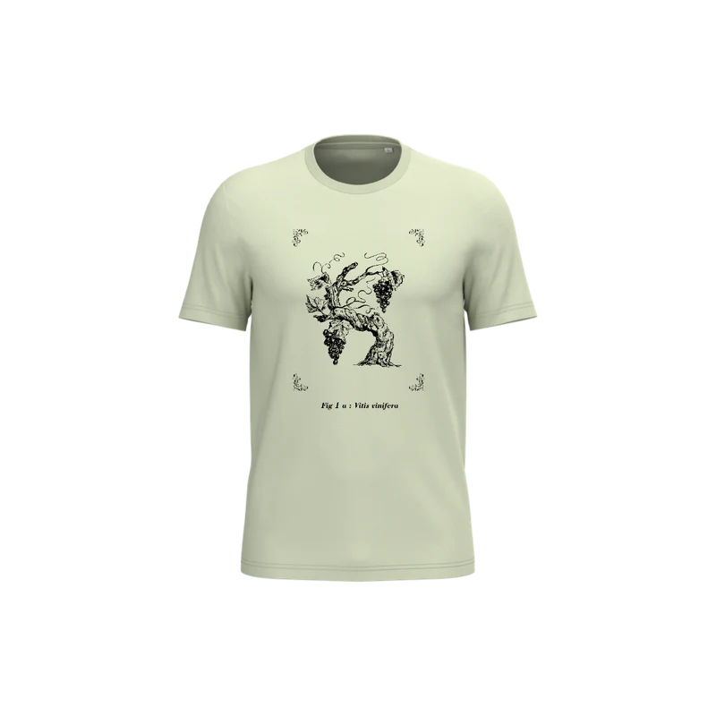 T-shirt écoresponsable - Vitis vinifera