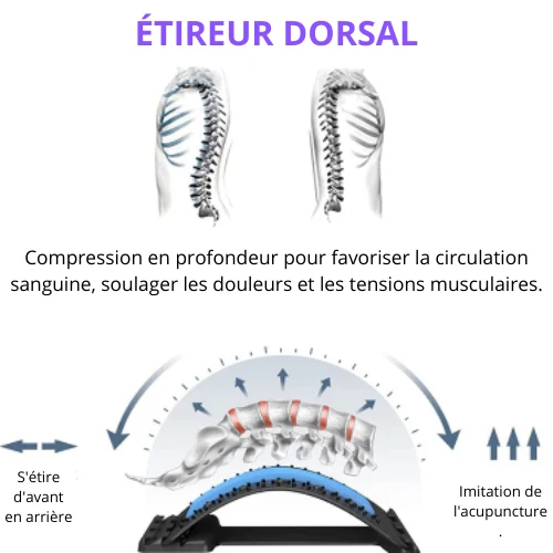 Civiere dorsale, correcteur de posture | COLAB™