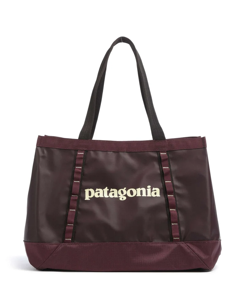 Patagonia Black Hole 25 Cabas berry fig