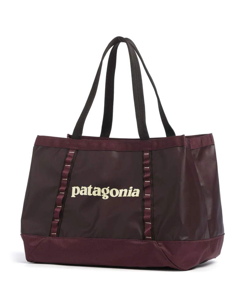 Patagonia Black Hole 25 Cabas berry fig
