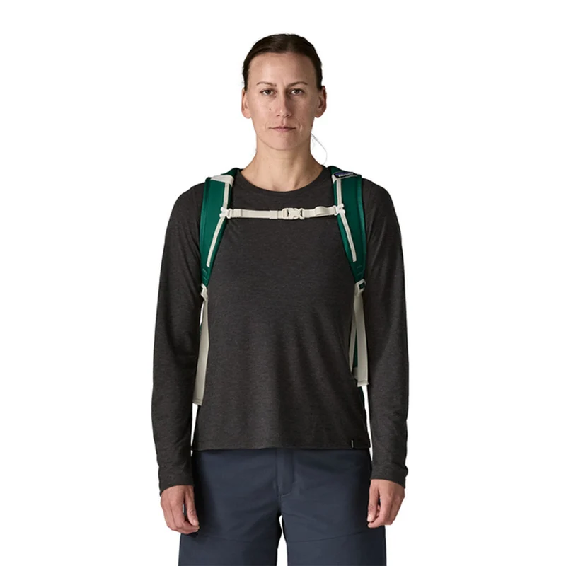 Sac à dos Patagonia Refugio Daypack 30 L