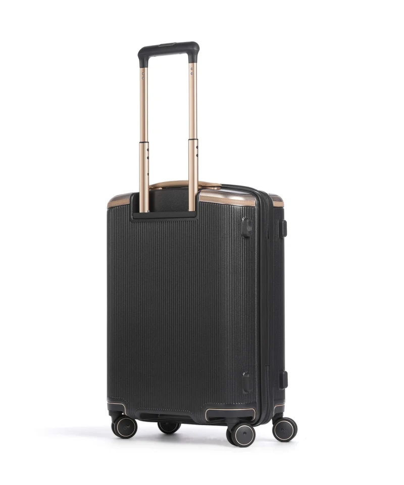 Echolac Dynasty VLX S Valise 4 roues dark chocolate