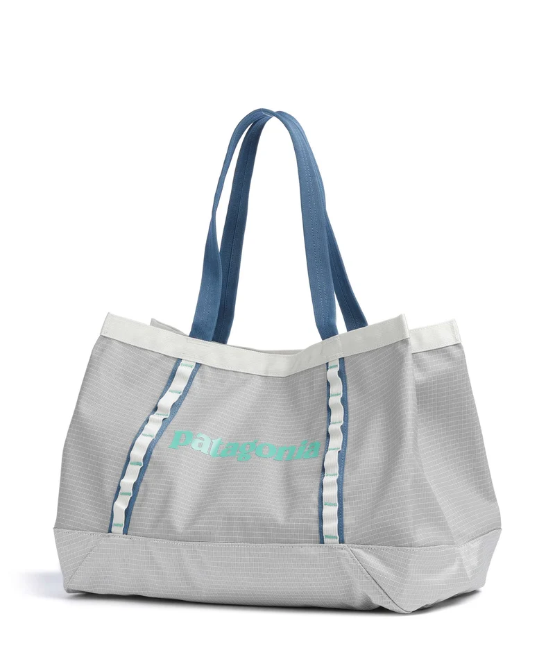 Patagonia Black Hole 25 Cabas birch white