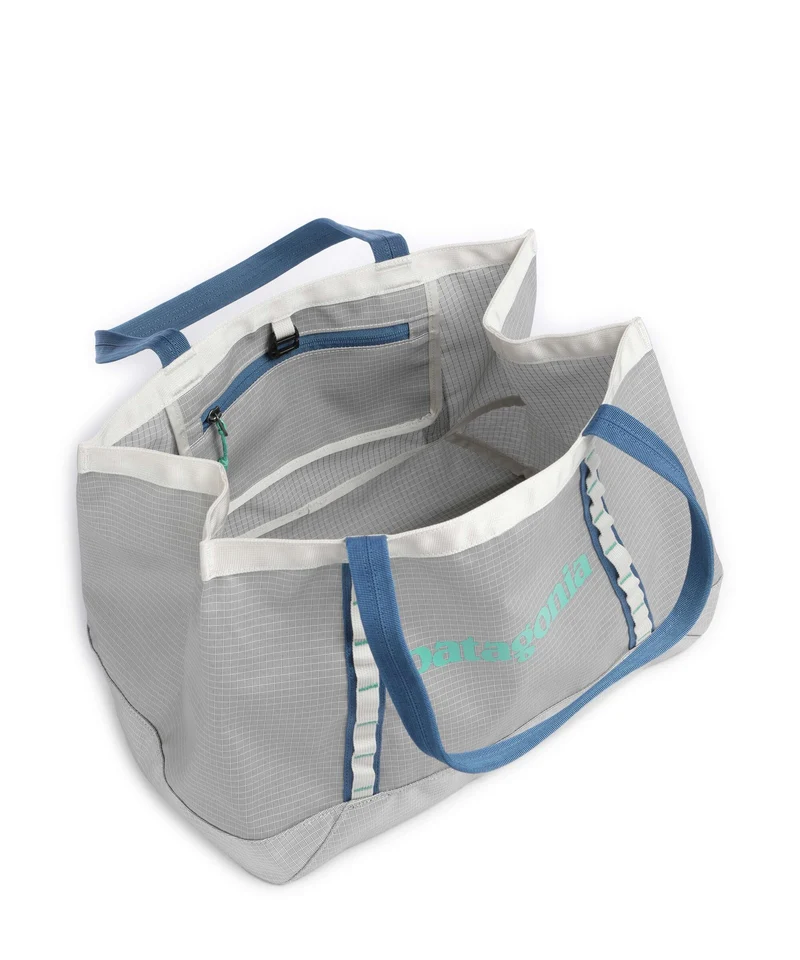 Patagonia Black Hole 25 Cabas birch white