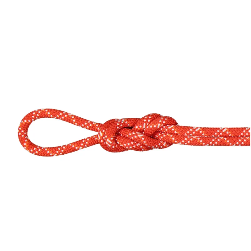 Corde d'escalade Mammut 9.5 Gym Classic– 40 m