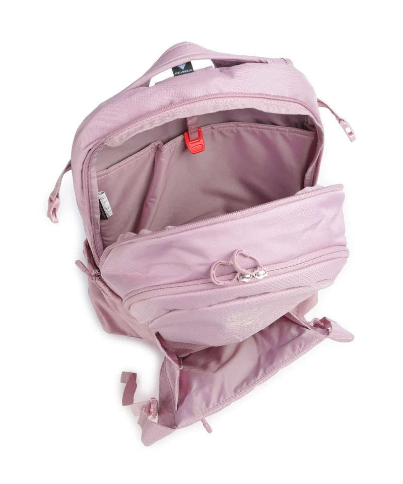 Osprey Daylite Plus Sac à dos iris pink