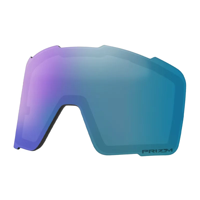 Lunettes de ski Oakley Line Miner L - Prizm Snow Sapphire Iridium et Iced