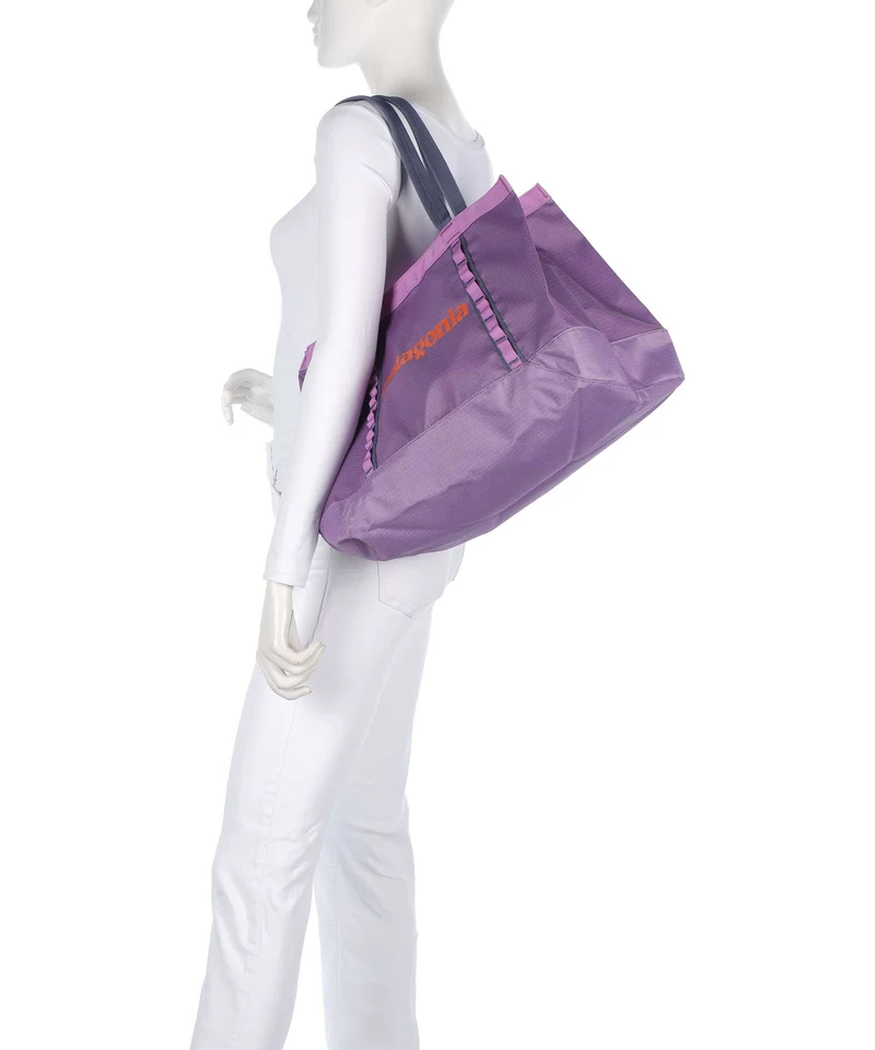 Patagonia Black Hole 25 Cabas brisk purple