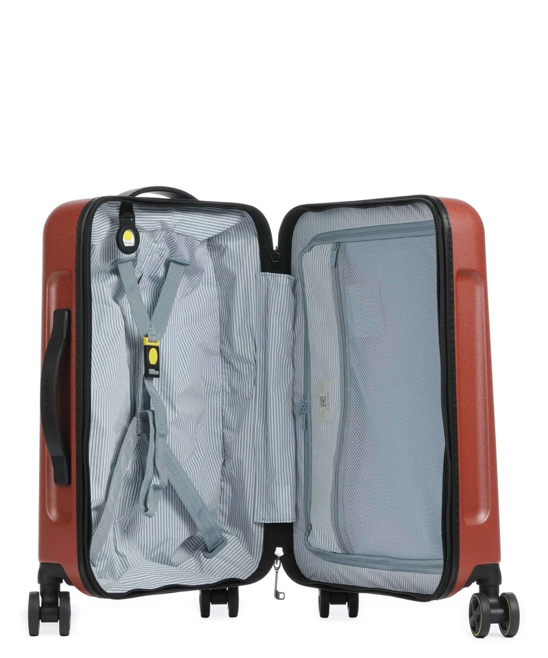 Delsey Paris Turenne 2.0 Valise 4 roues backstein