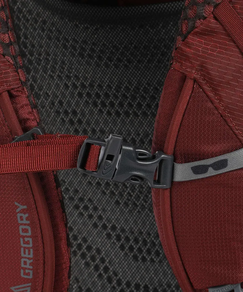 Gregory Baltoro 65 RC LG Sac à dos de trekking brick red