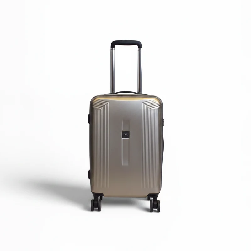 Valise cabine Plume - Argent