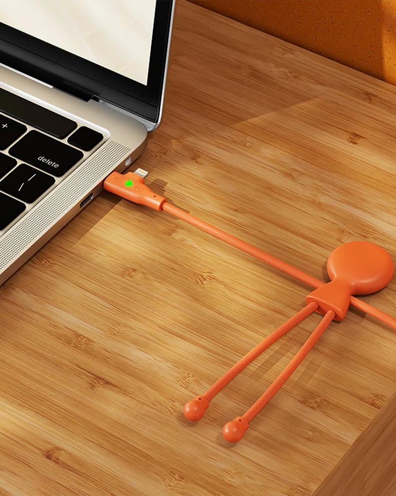 Câble de charge éco-responsable Mr Bio Long Fast à personnaliser