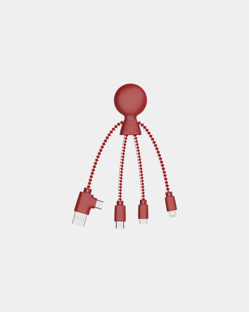 Câble de charge multi-connecteurs à personnaliser