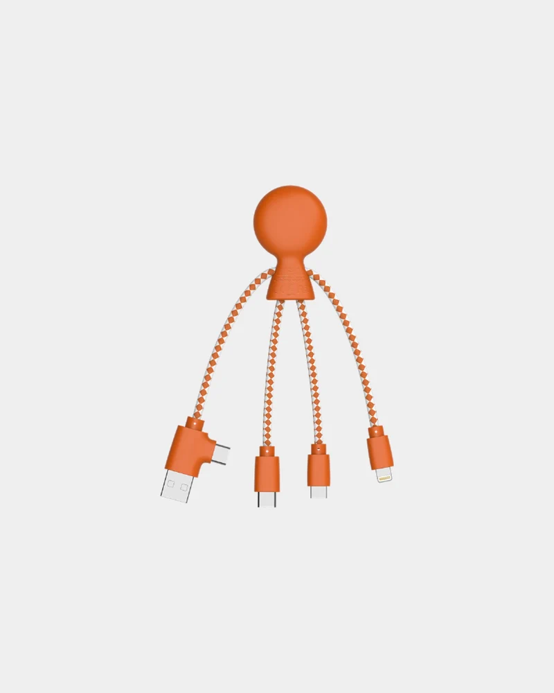 Câble de charge multi-connecteurs à personnaliser