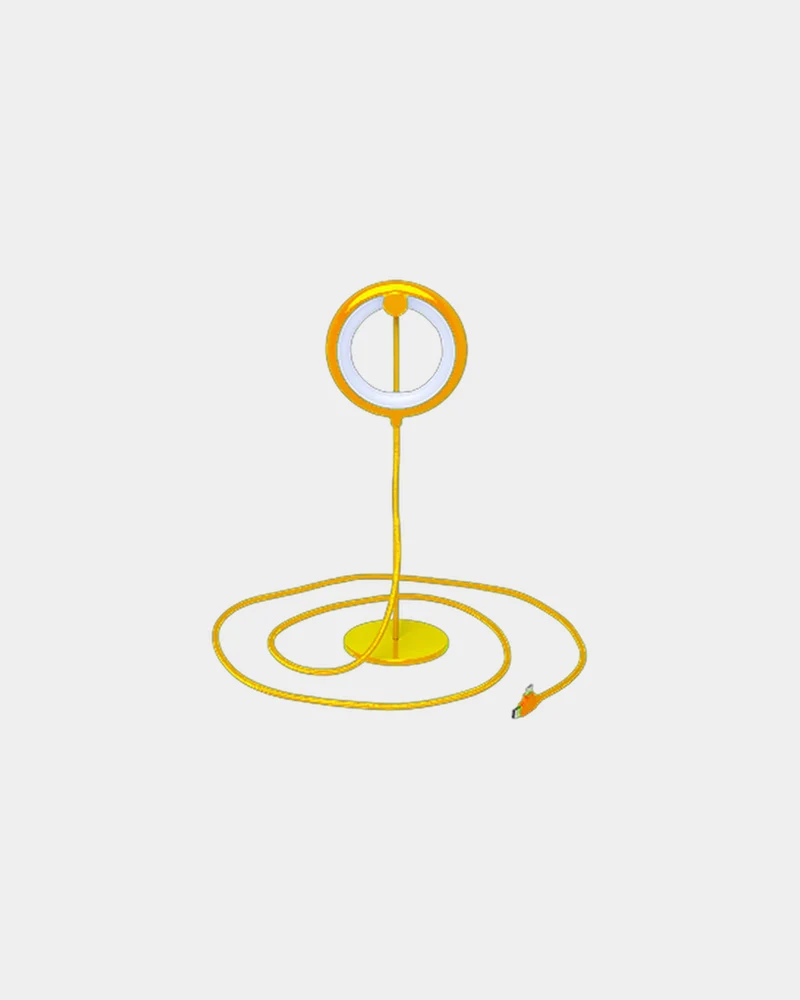 Lampe connectée Bily Bird 10 cm à personnaliser