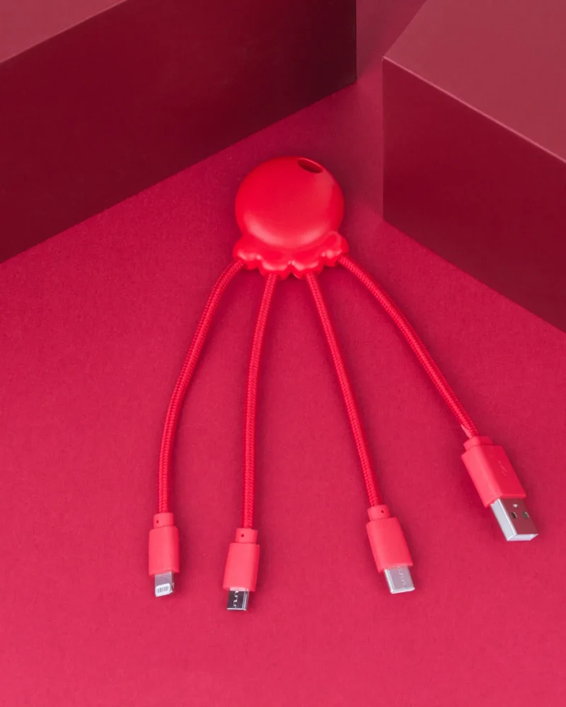 Câble charge multi-connecteurs à personnaliser