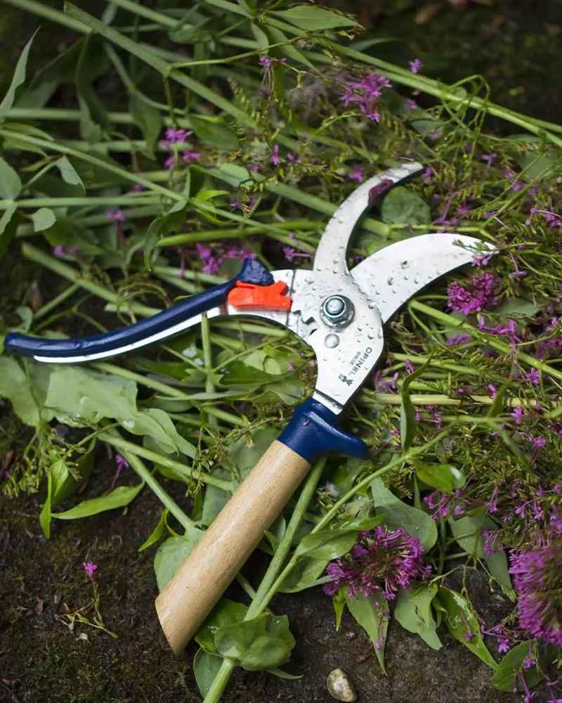 Sécateur acier inoxydable Opinel à personnaliser