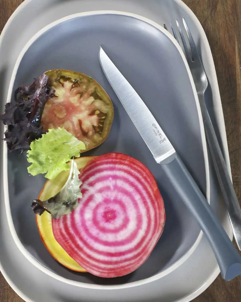 Couteau de table inox Opinel Bon Appétit + à personnaliser