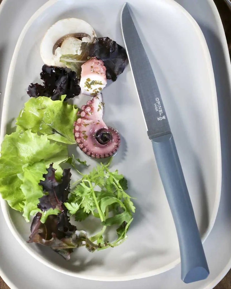 Couteau de table inox Opinel Bon Appétit + à personnaliser