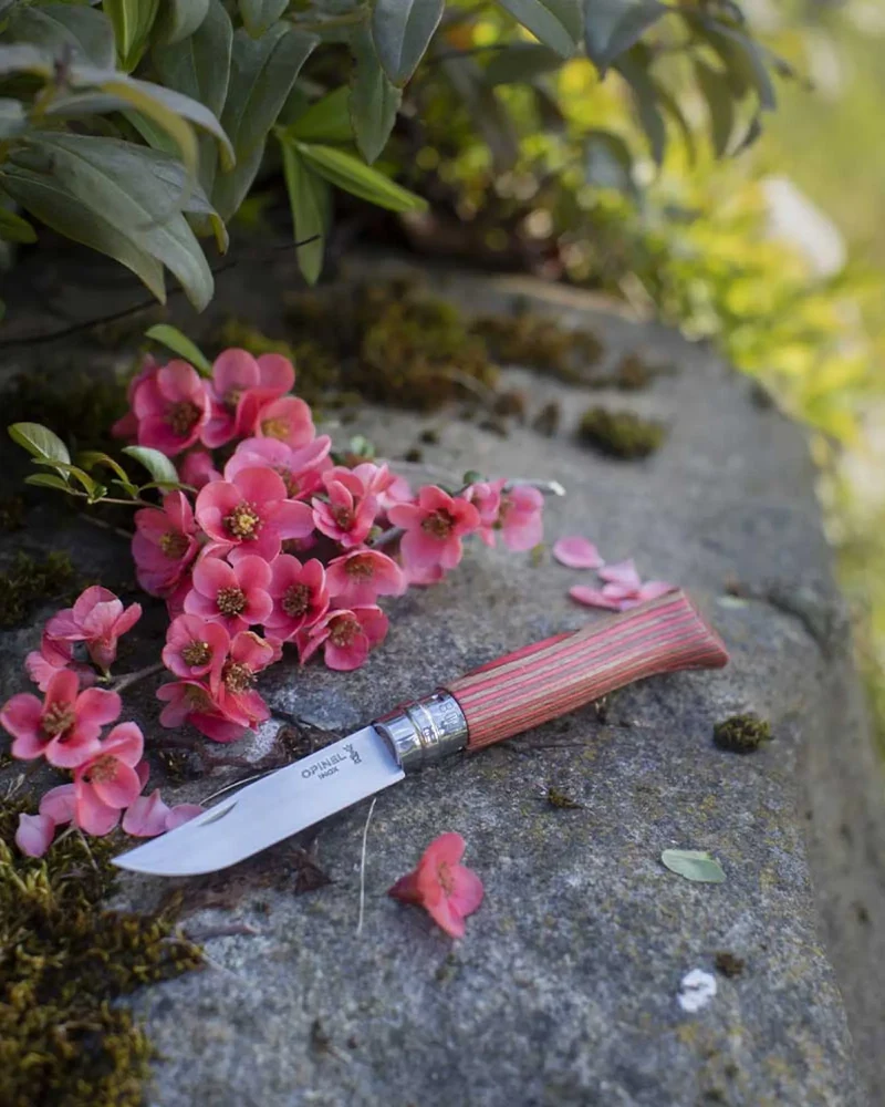 Couteau acier au carbone Opinel N°02 Carbone à personnaliser