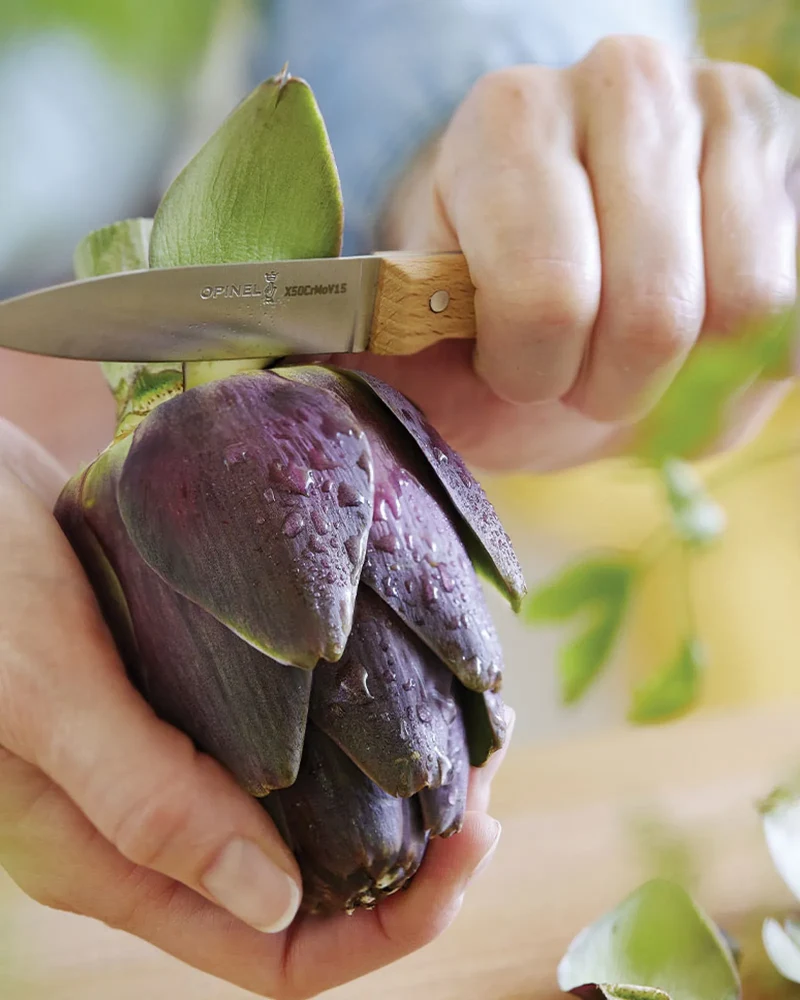 Couteau de cuisine Opinel N°126 à personnaliser