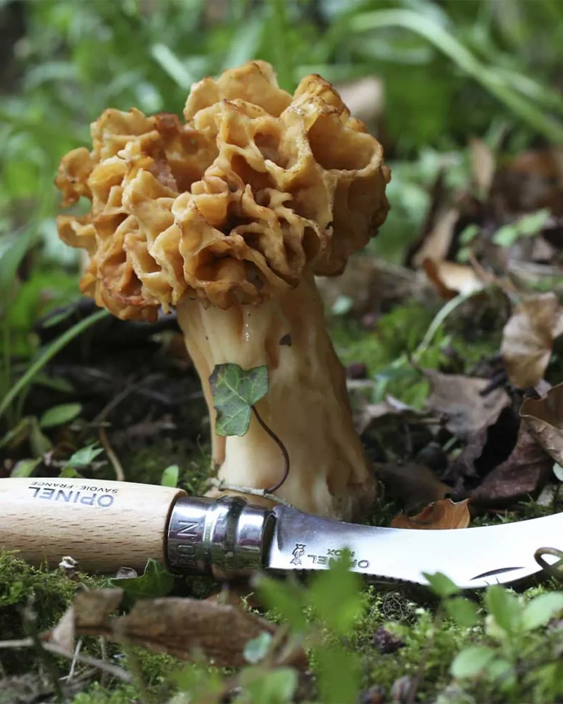 Couteau à champignon acier inoxydable Opinel N°08 à personnaliser