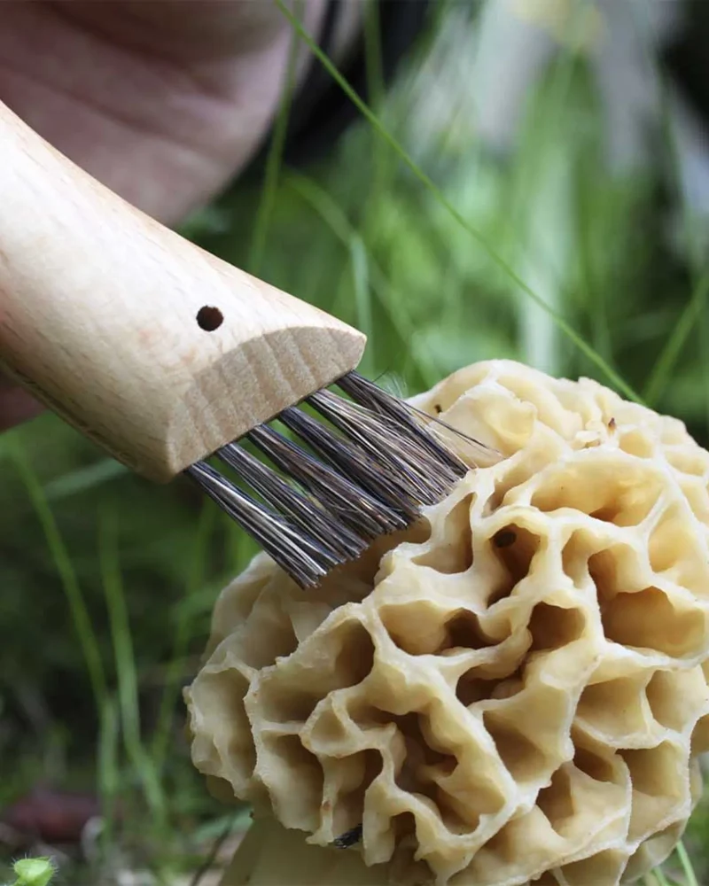 Couteau à champignon acier inoxydable Opinel N°08 à personnaliser