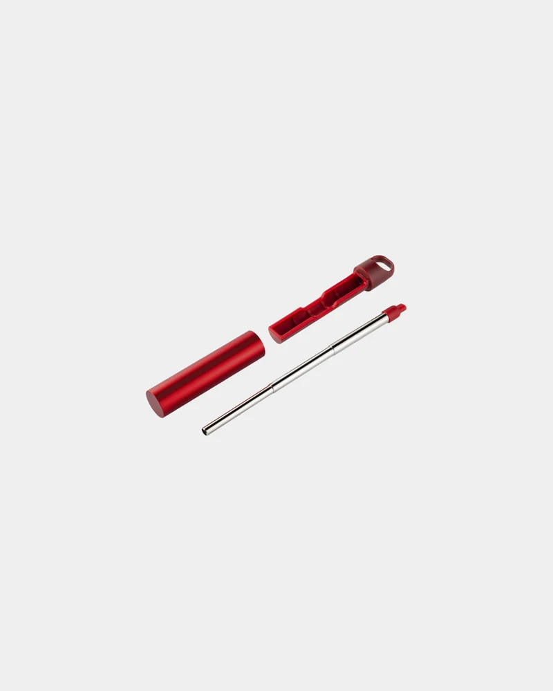 Paille réutilisable inox Lexon Nomaday UV Straw à personnaliser
