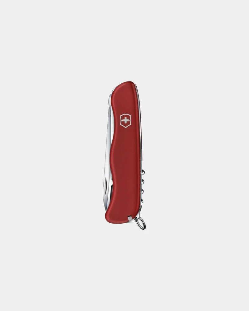 Couteau à fromage Victorinox Cheese Master à personnaliser