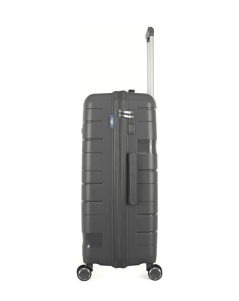 Lot de 2 Valises Rigides Grand Format et Grand Vanity PEGASE