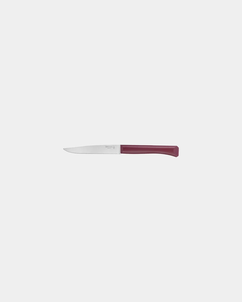 Coffret de 4 couteaux de table Opinel Bon Appétit + à personnaliser